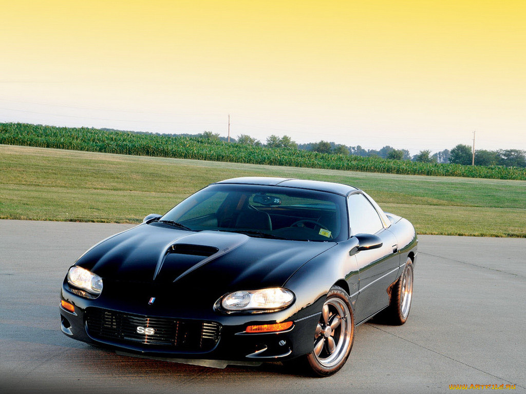 , camaro